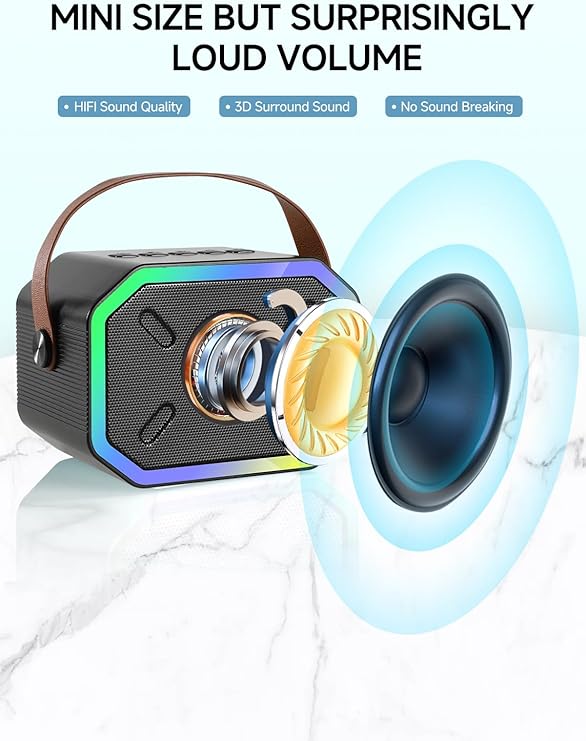 Mini Portable Bluetooth Speaker with 2 Wireless Microphones, Led Lights for TV, Kids Gifts