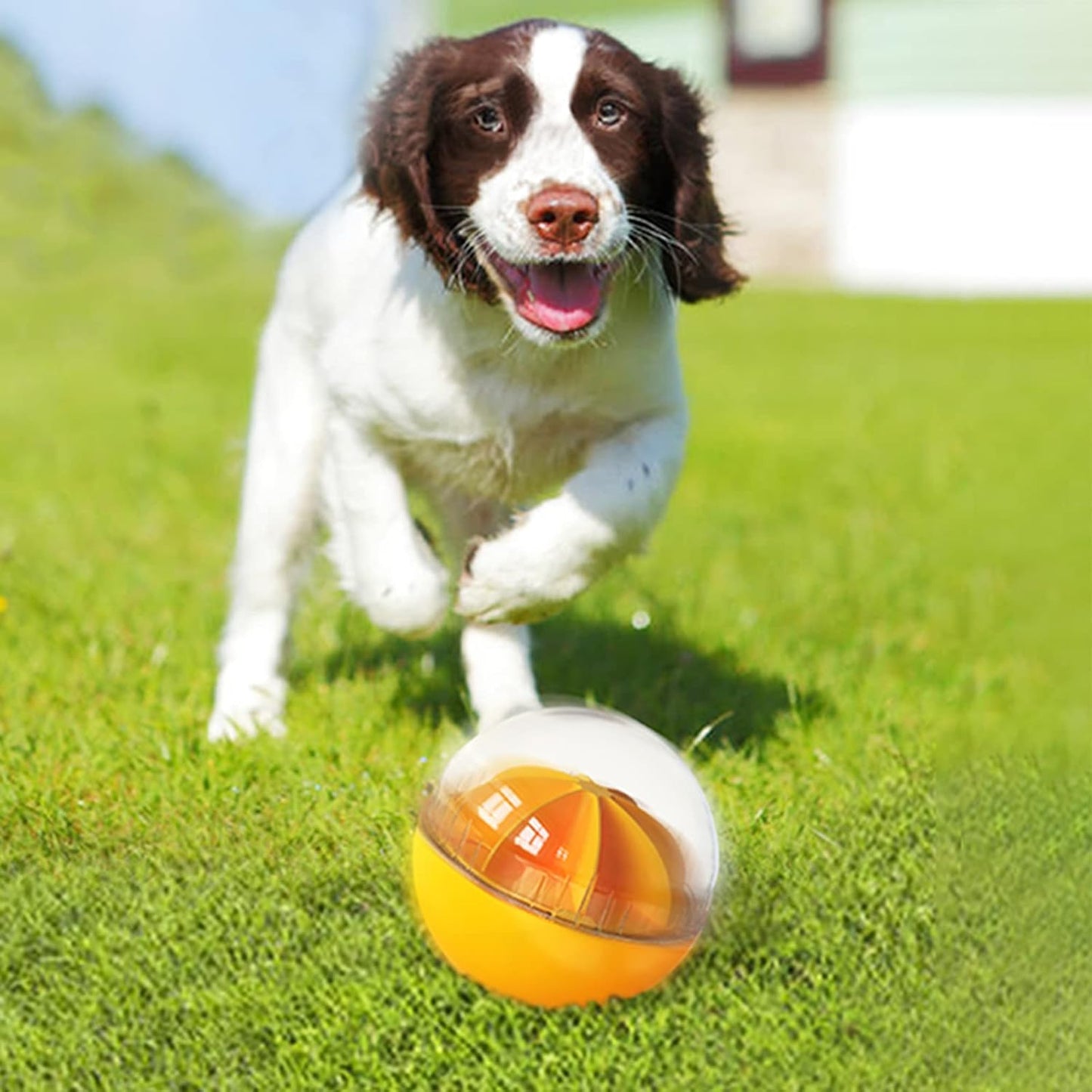Dog Food Puzzle Slow Feeder Interactive Squeaky (Yellow)