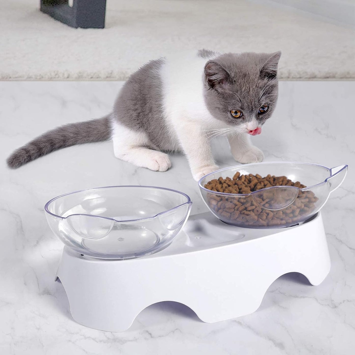 Cat Food Bowls Elevated Tilted Kitty Bowls for Puppy and Bunny, Indoor Cats
