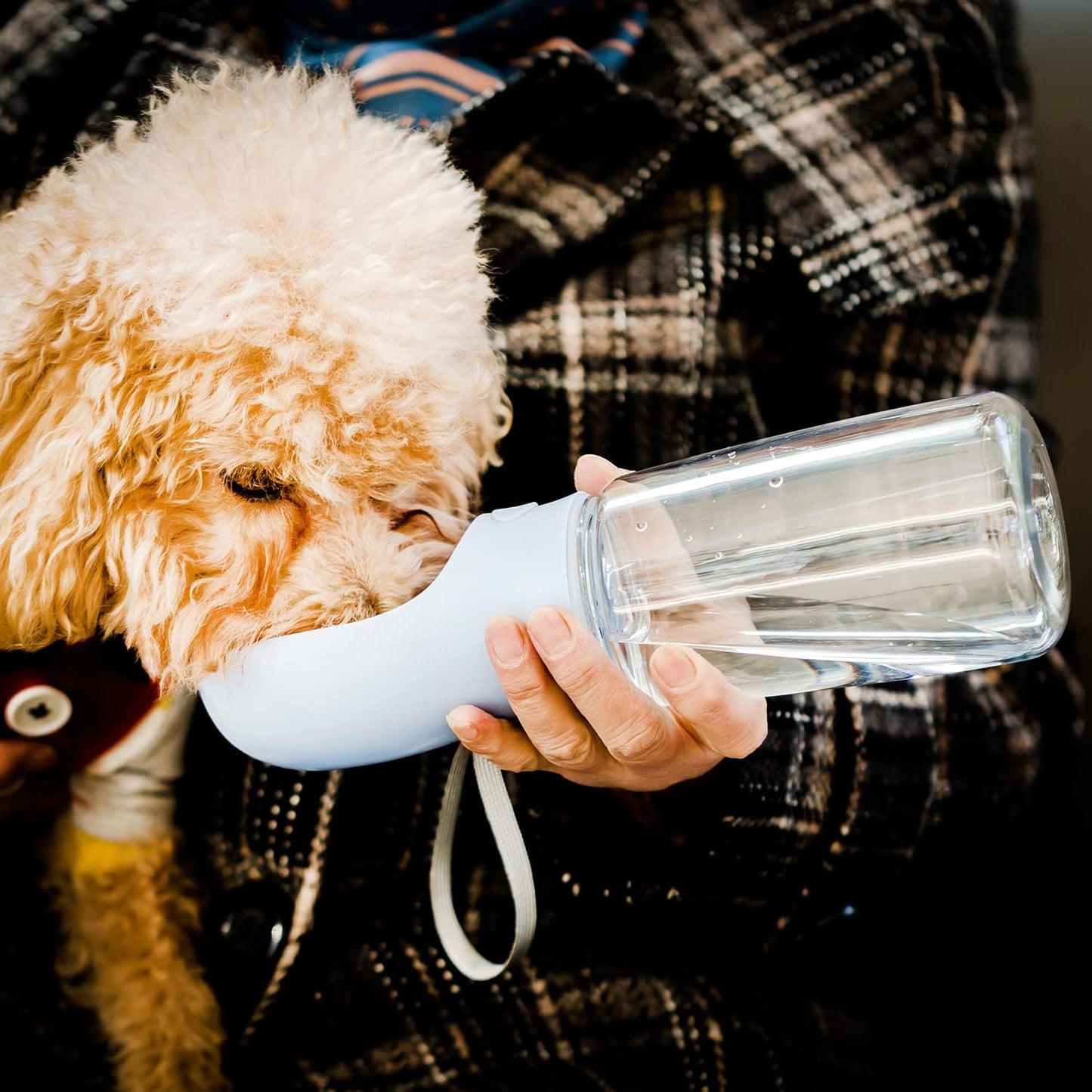 Dog Water Bottle, 19oz, Large, Blue, Portable Dog Water Bottle, Dog Travel Water Bottle