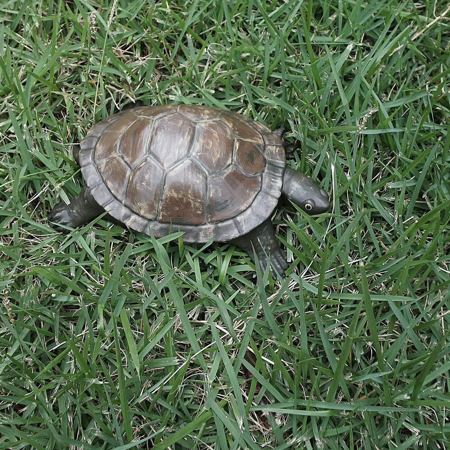 Key Hider Turtle Shape Garden Decoration Safe Holder (3.8×5.7×1.6 inchs)