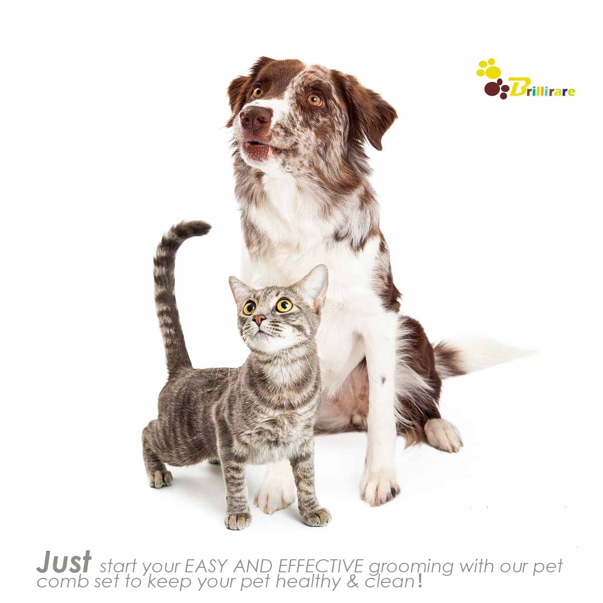 2 Pack Dog Grooming Brush,Silicone Pet Bath Brushes with Adjustable Handle