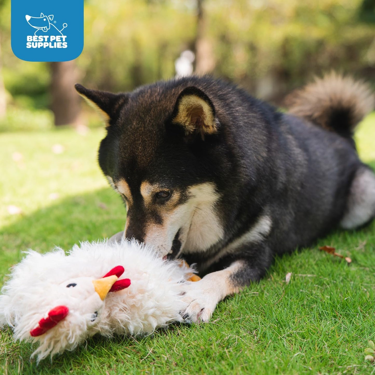 Chicken Crinkle Plush Dog Toys for Interactive Play