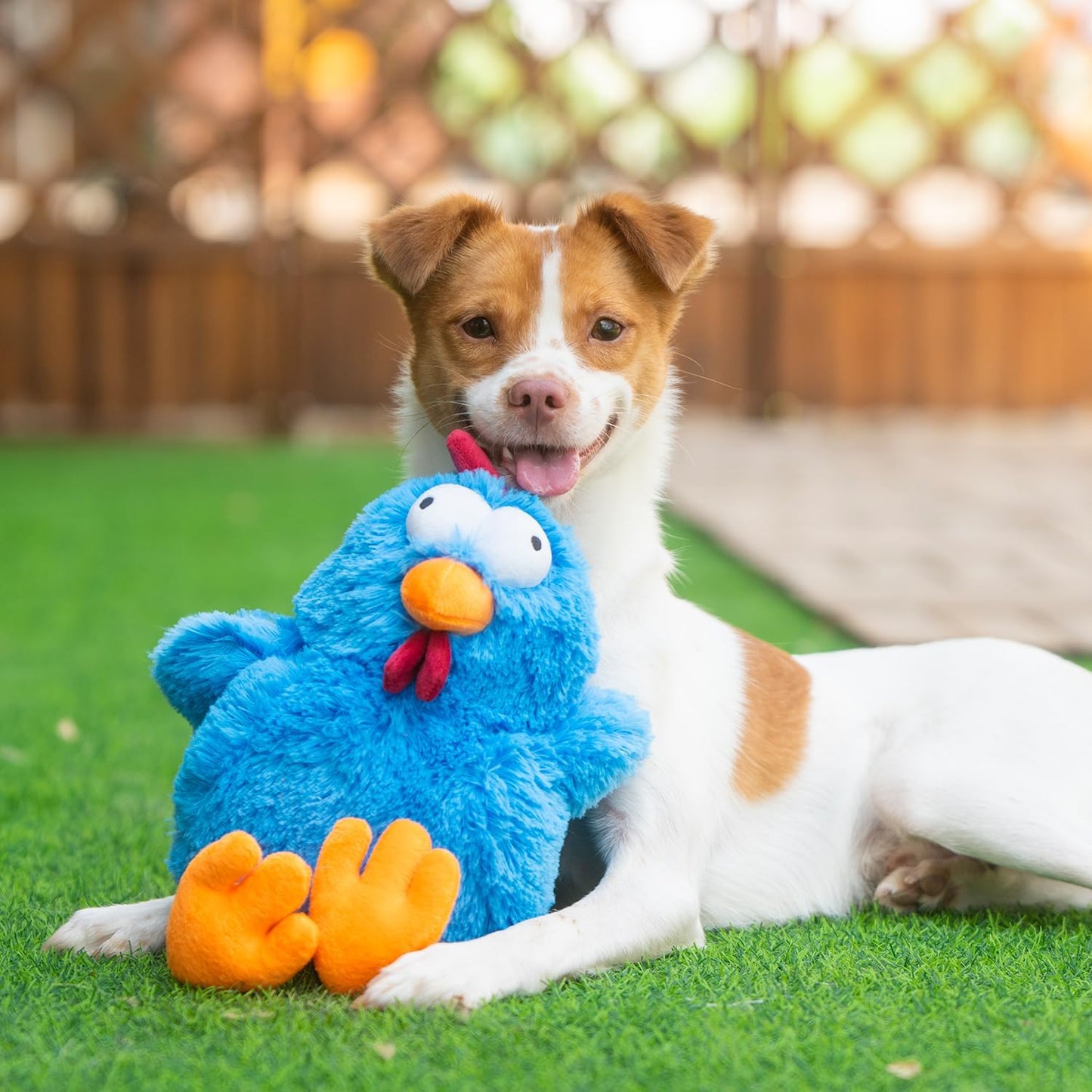 Mrs. Cluck Interactive Squeaky Plush Toy for Small and Medium Breed Puppies