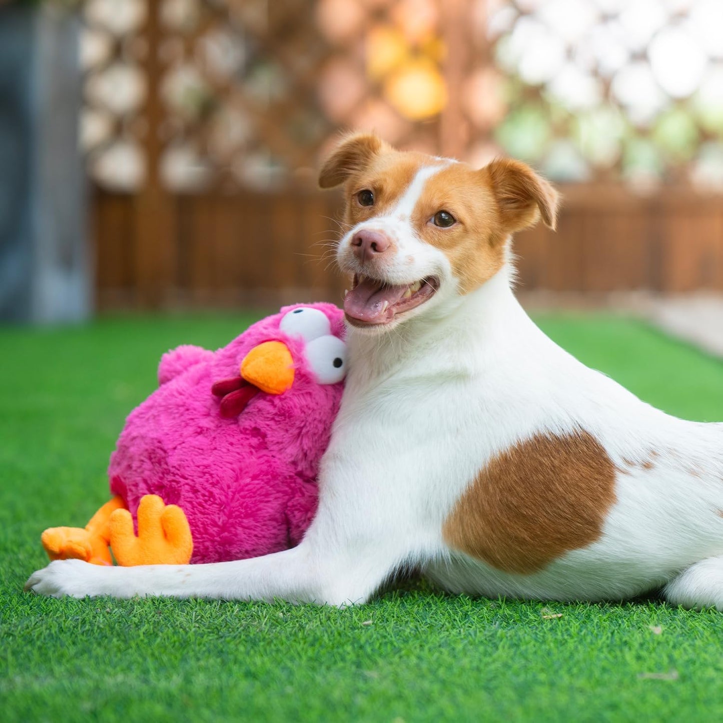 Mrs. Cluck Interactive Squeaky Plush Toy for Small and Medium Breed Puppies
