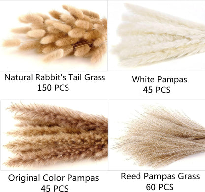 300 PCS Dried Flower Bouquet – Pampas Grass Perfect for Vases, Fall, Spring, Summer, and Winter Arrangements