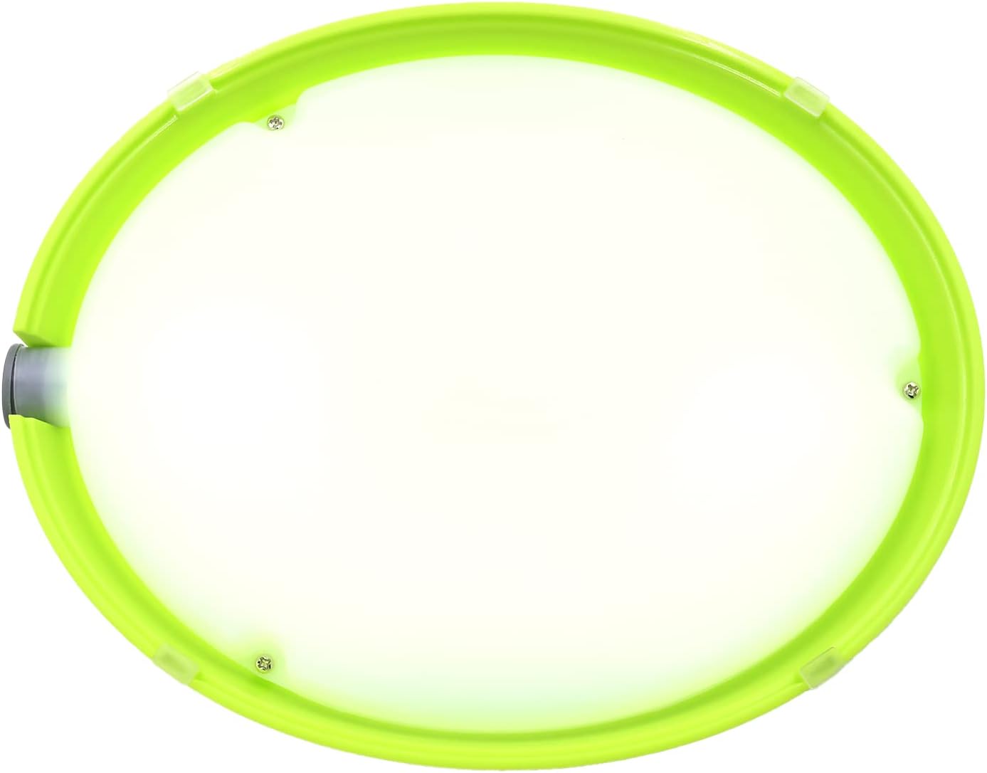 Pet Standing Water Dispenser Cat Dog with Detachable Pole Automatically Feeding Water (Green)