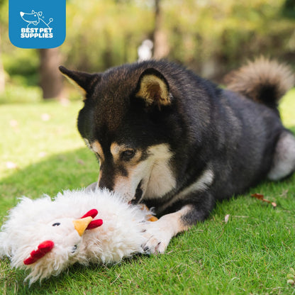 Chicken Crinkle Plush Dog Toys for Interactive Play