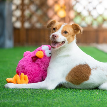 Mrs. Cluck Interactive Squeaky Plush Toy for Small and Medium Breed Puppies