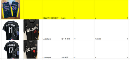 5 Jersey (custom orders)